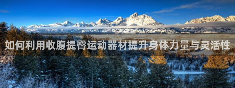 征途国际平台注册:如何利用收腹提臀运动器材提升身体力量与灵活